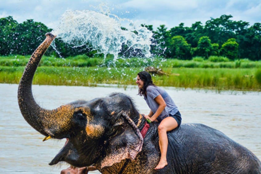Elephant Bathing